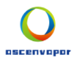 ascenvapor.com